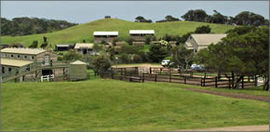 Ace Hi Riding Ranch - Holiday Byron Bay 0