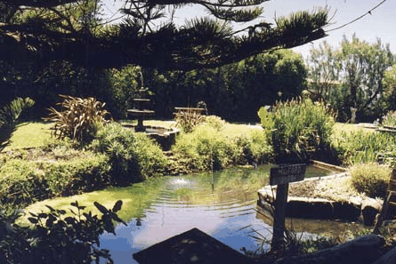Bayside Gardens - Holiday Byron Bay