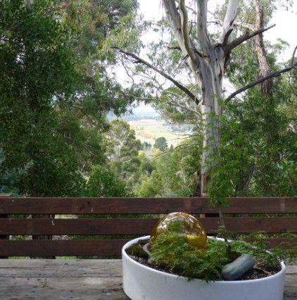  Holiday Byron Bay