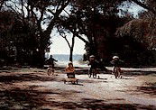 Acacia Caravan Park - Holiday Byron Bay 4