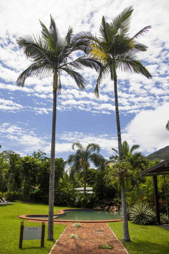 Lake Placid Tourist Park - Holiday Byron Bay 1