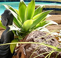 Barham Bridge Motor Inn - Holiday Byron Bay