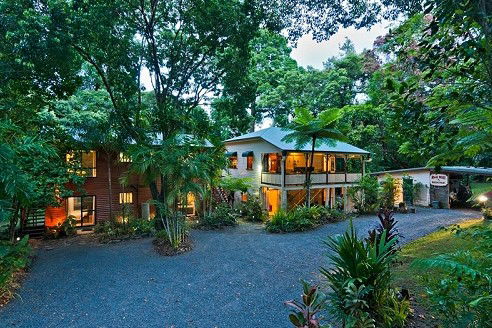 Daintree QLD Holiday Byron Bay