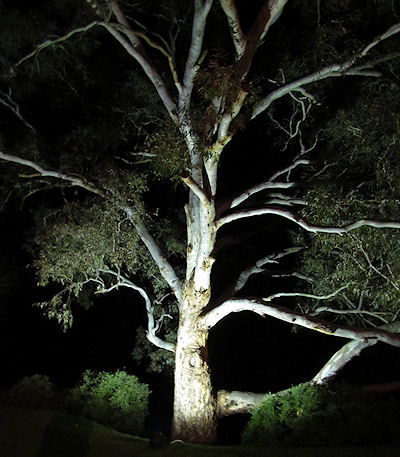 Tally Ho Lodge - Holiday Byron Bay 3