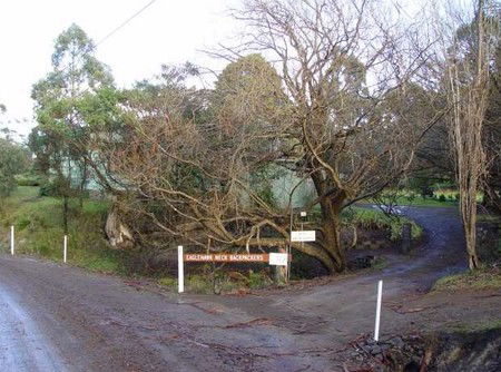Eaglehawk Neck Backpackers - Holiday Byron Bay 1