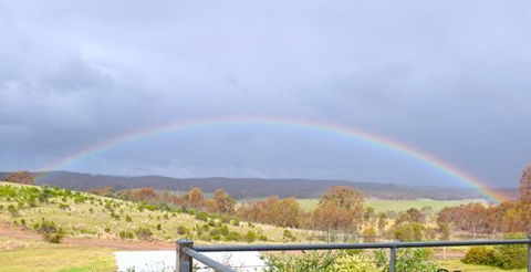 Tarrangower Holiday Home - Holiday Byron Bay 5