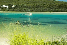 Wooli Camping and Caravan Park - Holiday Byron Bay