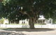 Annies Bed And Breakfast Grafton - thumb 3