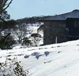 Barina Milpara Lodge
