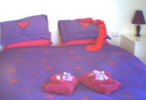 Aloomba Lavender - Accommodation - Holiday Byron Bay 0