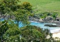 Aqua Bamboo - Holiday Byron Bay 0