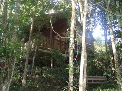 Adjinbilly Rainforest Retreat Cabins - Holiday Byron Bay 0
