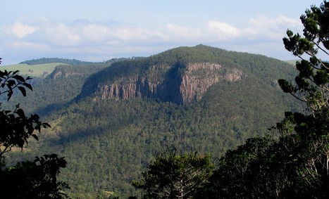 Arborlee Rainforest Retreat - Holiday Byron Bay 3