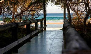 Anchorage Beachfront Island Resort - Holiday Byron Bay 4