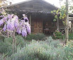 Barney Creek Vineyard Cottages - Holiday Byron Bay 3
