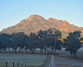 Barney Creek Vineyard Cottages - Holiday Byron Bay 5