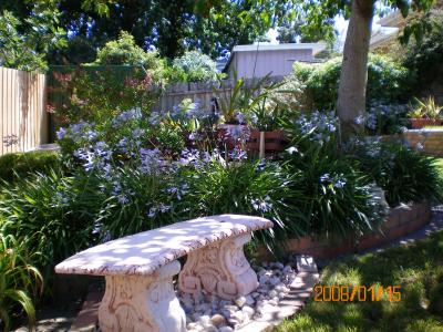 Austin Rise Bed And Breakfast - Holiday Byron Bay 4