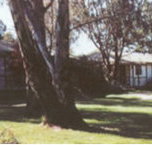 Winbi River Resort