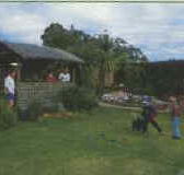 Tambo Lodge - Holiday Byron Bay