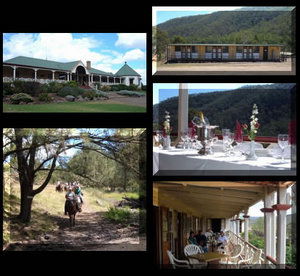 Bestbrook Mountain Resort - Holiday Byron Bay 1