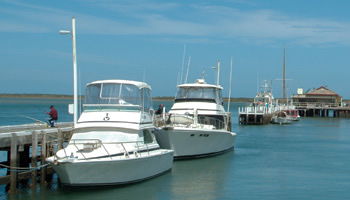 Angler's Arms And Fisherman's Cottage - Holiday Byron Bay 5