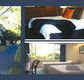 The Albany - Holiday Byron Bay