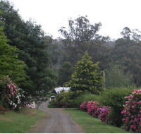 Mountain Rivers Lodge - Holiday Byron Bay