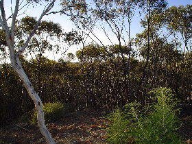 Bullaburra ACT Holiday Byron Bay