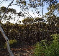 Lions Dryandra Woodlands Village - Holiday Byron Bay