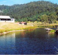 Millybrook Lodge - Holiday Byron Bay