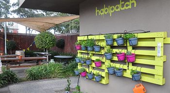 Habitat HQ - Hostel - Holiday Byron Bay 24