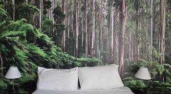 Habitat HQ - Hostel - Holiday Byron Bay 31