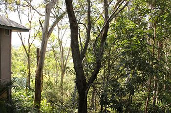Arabella Guesthouse - Holiday Byron Bay 18