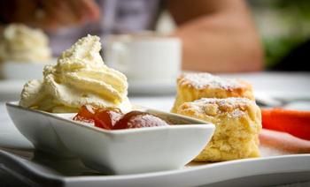 Riverwood Downs Mountain Valley Resort - Holiday Byron Bay 1