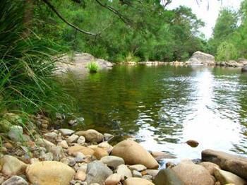 Riverwood Downs Mountain Valley Resort - Holiday Byron Bay 9