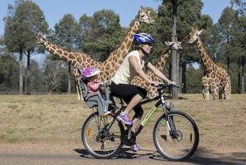 Zoofari Lodge, Taronga Western Plains Zoo - Holiday Byron Bay 7