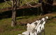Avoca Valley Bed & Breakfast - thumb 6