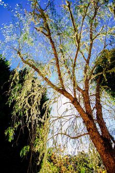 Avoca Valley Bed & Breakfast - Holiday Byron Bay 23