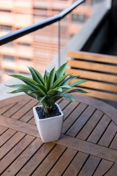 ABC Accommodation - 534 Flinders - Holiday Byron Bay 9