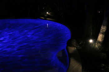 Alaya Escape - Holiday Byron Bay 34