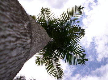 Alaya Escape - Holiday Byron Bay 39