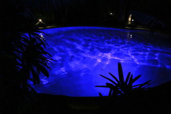 Alaya Escape - Holiday Byron Bay 42