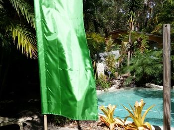 Alaya Escape - Holiday Byron Bay 54