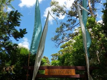 Alaya Escape - Holiday Byron Bay 56