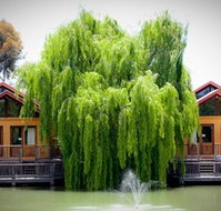 Perricoota Vines Retreat Echuca Moama