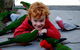 Around About Lorne Studios Or B&B - thumb 3