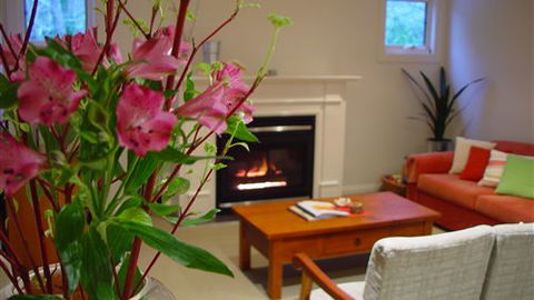 Around About Lorne Studios Or B&B - Holiday Byron Bay 4