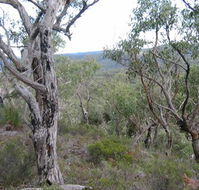 The Glen - Holiday Byron Bay