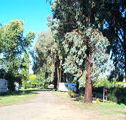 Cudal Caravan Park - Holiday Byron Bay