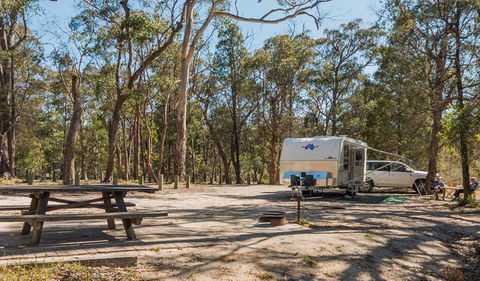 Cypress-pine Campground - Holiday Byron Bay 1